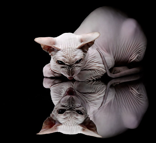 世界杯激情高涨：每一次传球都扣人心弦，世界杯片段