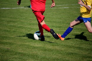 kaiyun开云·官方网站-LPL多个队伍重组计划曝光转会期极度混乱，lpl战队转会期